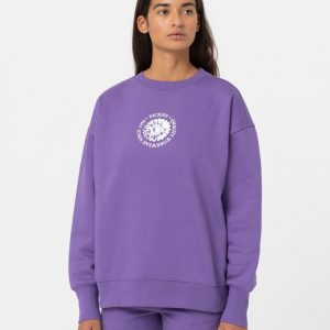 Sweat garden violet